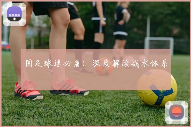 国足球迷必看:深度解读战术体系