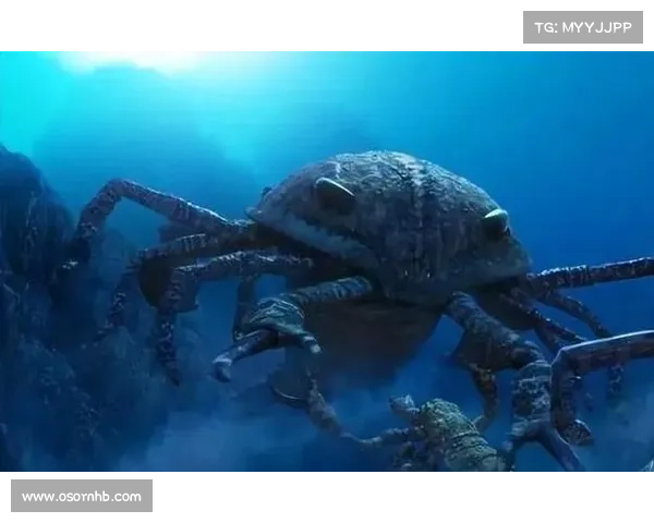 探寻恐怖祖先的隐秘足迹与被遗忘的历史真相